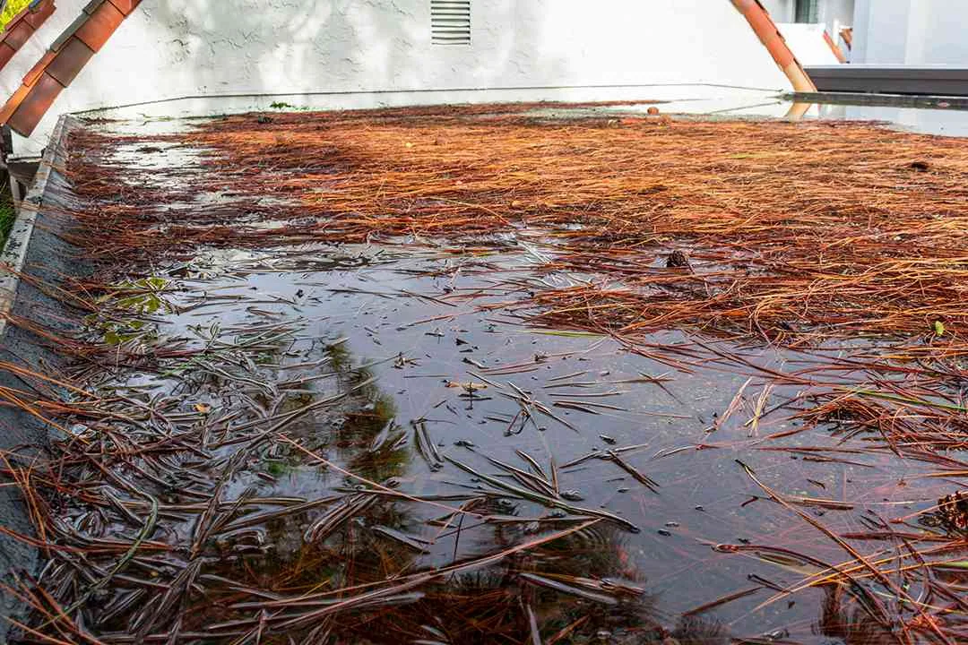 Commercial Ponding Water Roof Repair in Rochester, MN